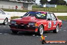 Victorian 6 Hour Regularity Relay - LA1_6123